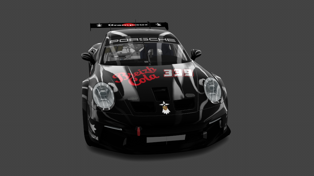 Car Skin