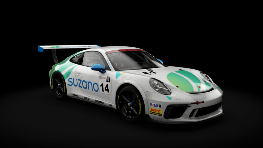 Porsche 911 GT3 Cup 2017, skin 14_GT3 National Challenge BR