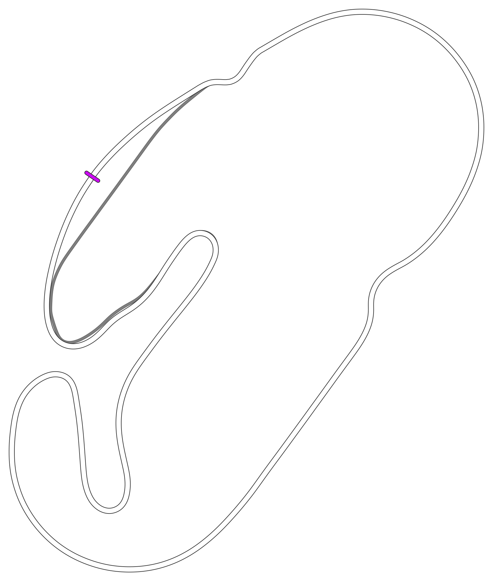 nascar_road_course